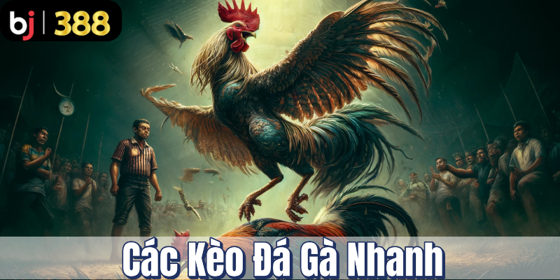Các kèo đá gà nhanh